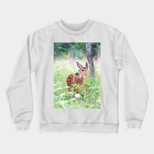 White-tailed fawn in the forest Crewneck Sweatshirt